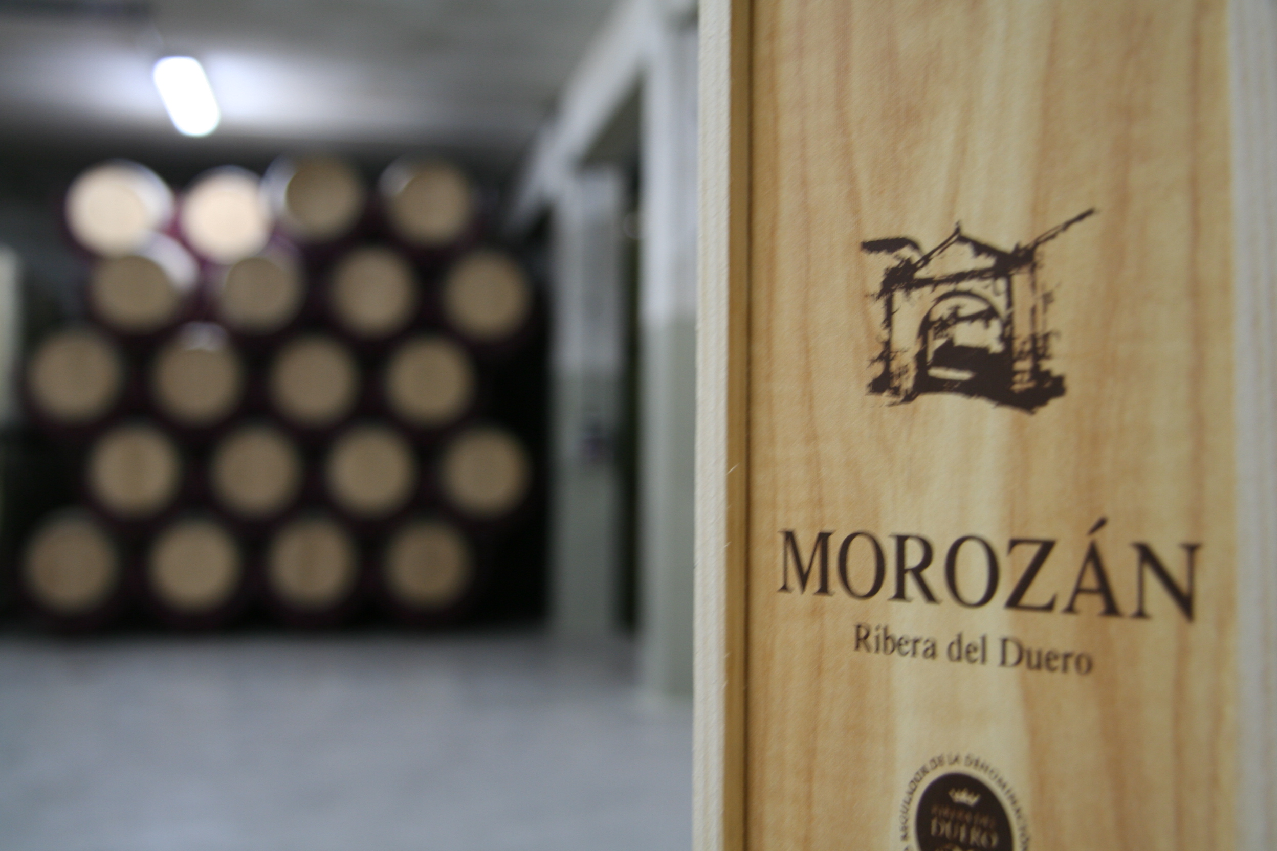 2005-08-31 Imagen 719