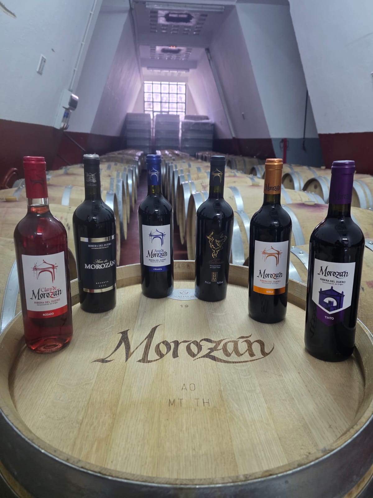 WhatsApp Image 2025-12-23 at 11.51.31